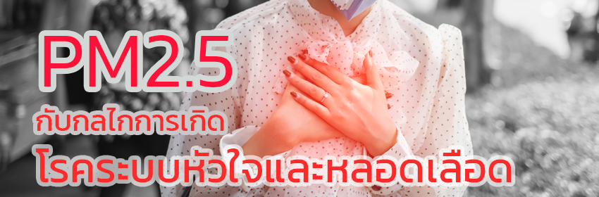 PM2.5 กับกลไกการเกิดโรคระบบหัวใจและหลอดเลือด