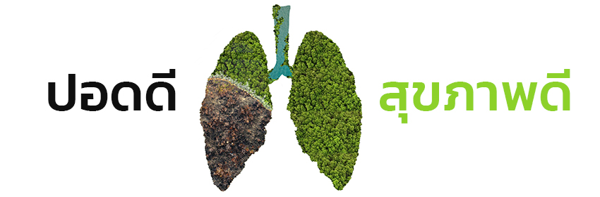 PM2.5 ผลกระทบต่อระบบการหายใจ